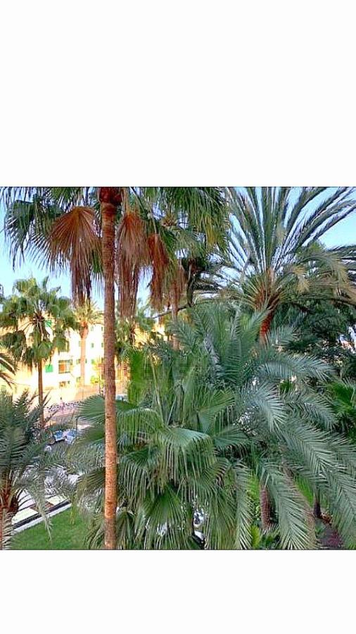 San Bartolomé Maspalomas Del Mar מראה חיצוני תמונה